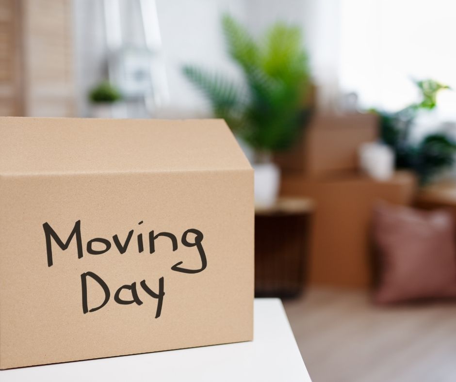 Finally! It’s D-Day (The Moving Day)